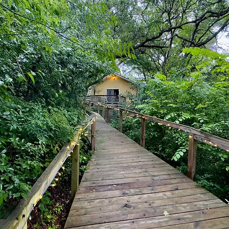 Bed And Breakfast On White Rock Creek Waco Exterior photo