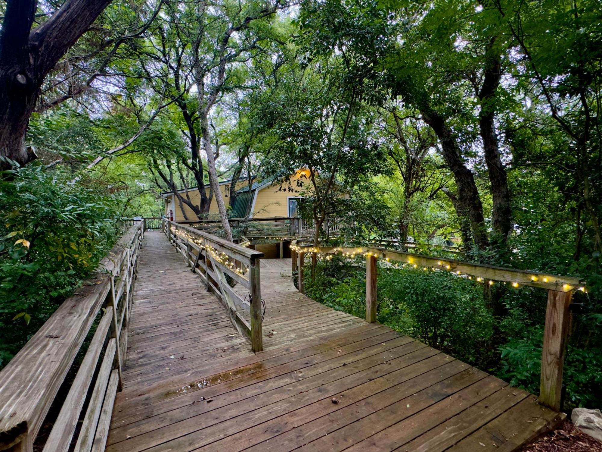 On White Rock Creek *